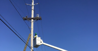 Bayonne Maintenance